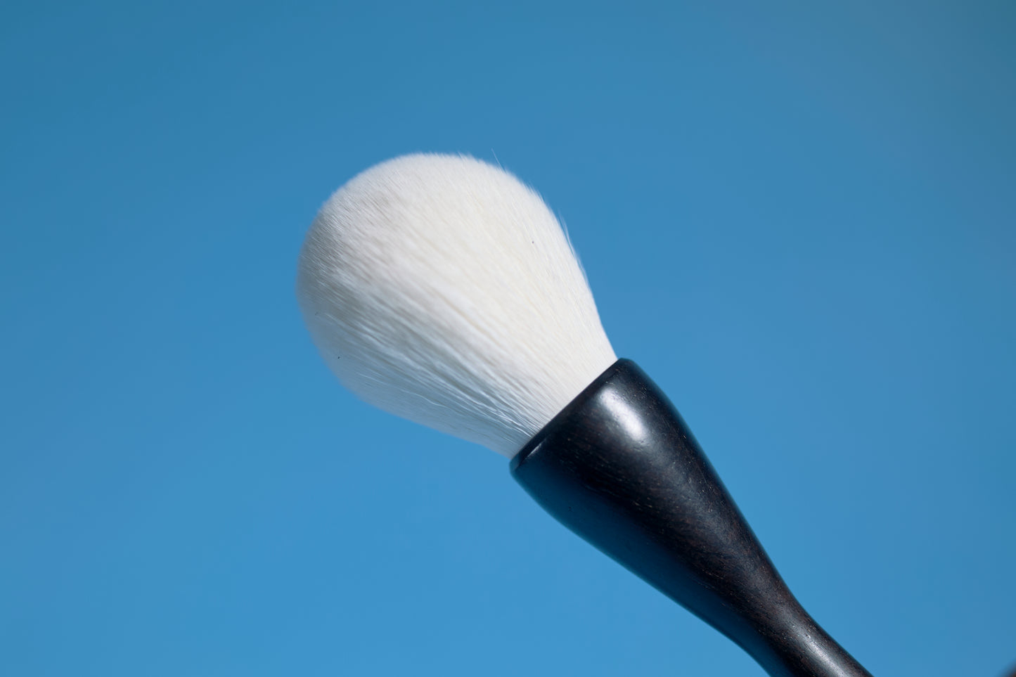 Pro Series Brush Set