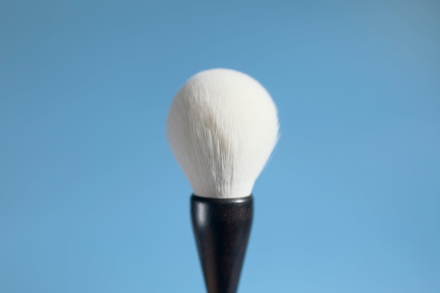 Pro Series Brush Set