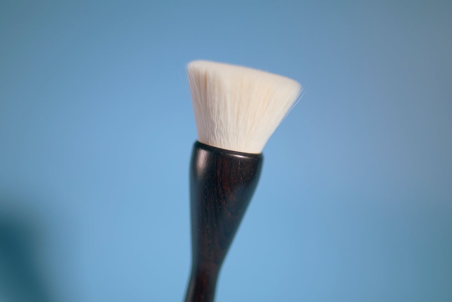 Pro Series Brush Set
